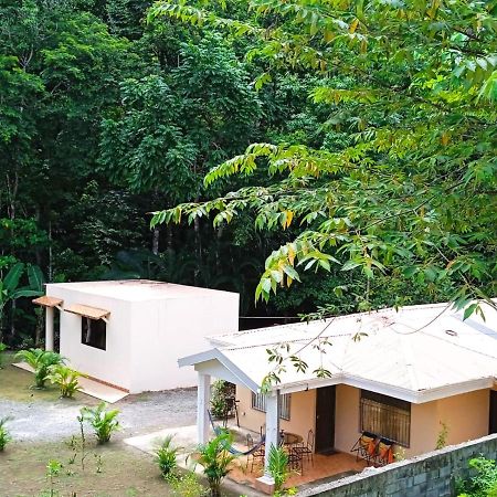 Alma Del Bosque Vacation Home And Apartments Quepos Bagian luar foto