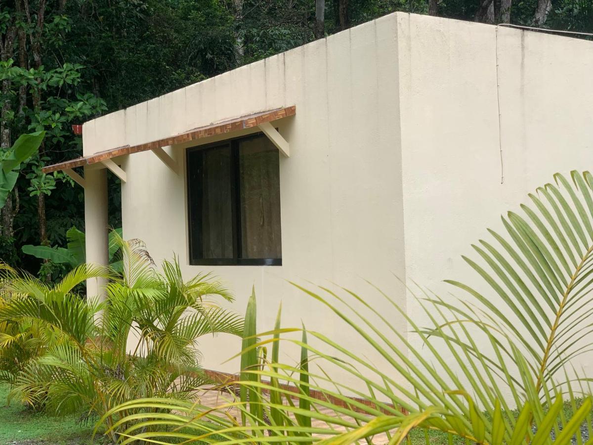 Alma Del Bosque Vacation Home And Apartments Quepos Bagian luar foto