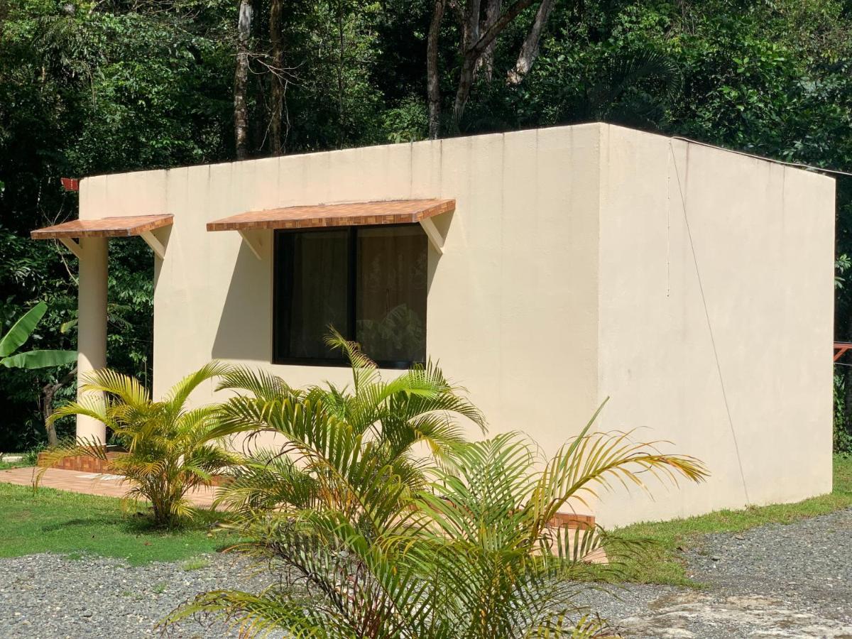Alma Del Bosque Vacation Home And Apartments Quepos Bagian luar foto