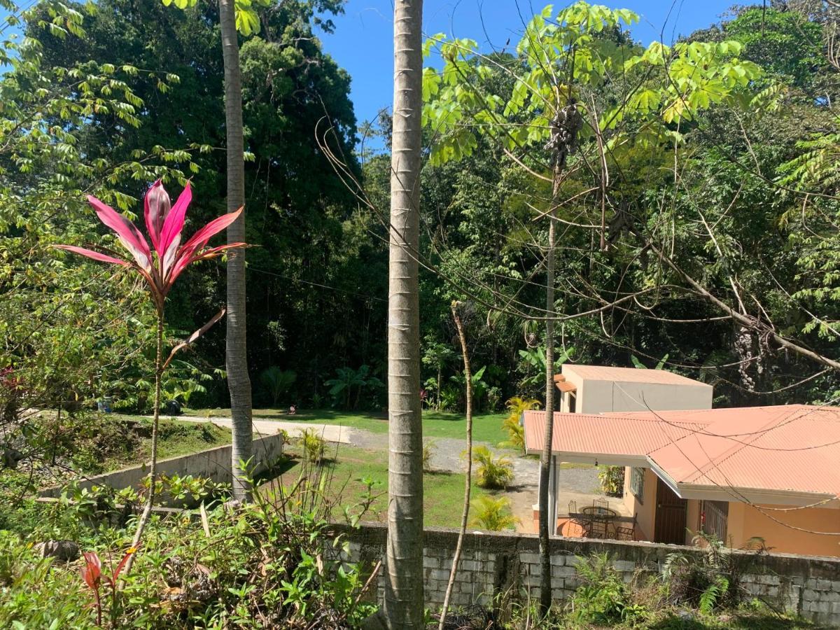 Alma Del Bosque Vacation Home And Apartments Quepos Bagian luar foto